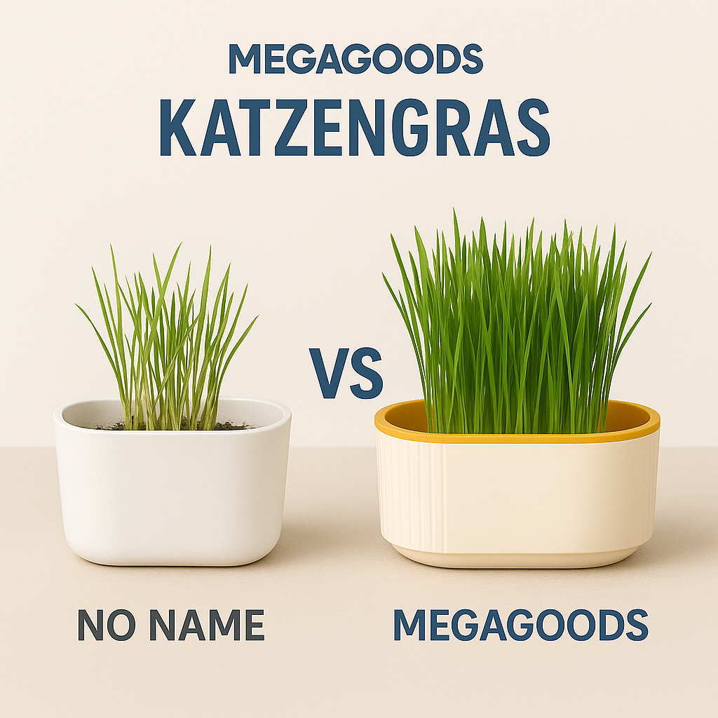Katzengras Box hydroponisch Anzucht ohne Erde Catnip Grow Set DE.