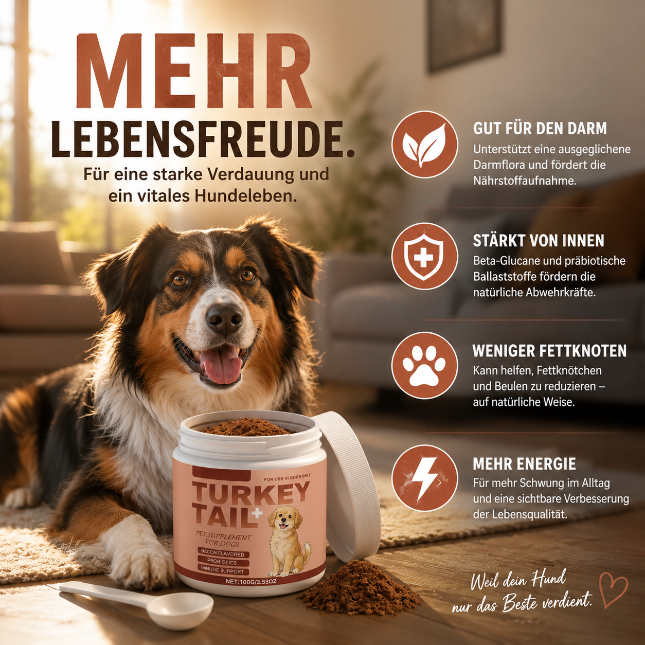 Fellkraft™ Turkey Tail Hunde Probiotika Vitalpilz Immun Darm Bacon Pulver 100g