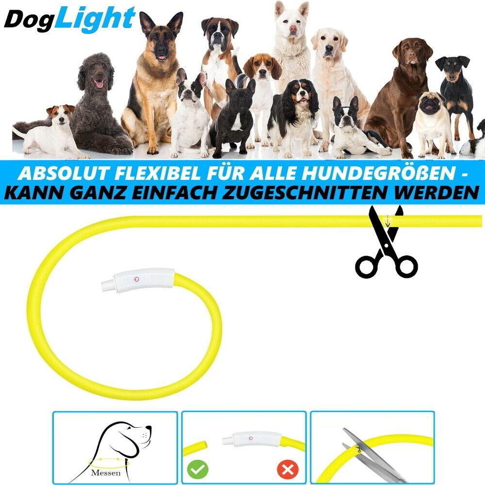 DogLight LED Hundehalsband USB Leuchthalsband Universalgröße zuschneidbar gelb