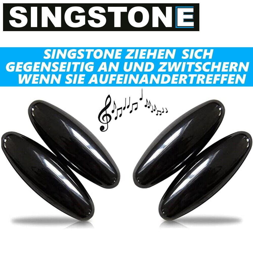 SINGSTONE Zwitschermagnete Magnete Rattle Snake Magnetsteine Klangstein Hämatit