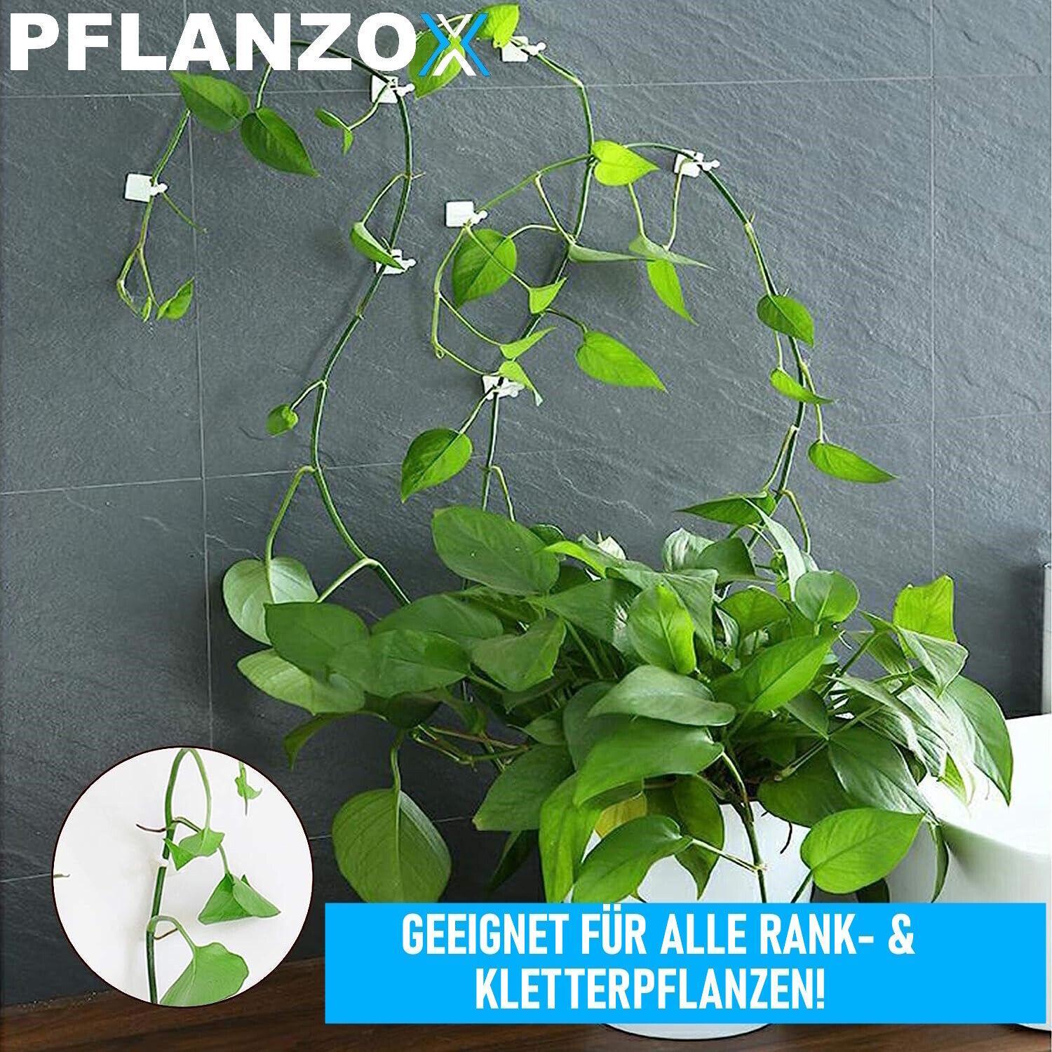 PFLANZOX Pflanzenclips Pflanzenklammern Rankhilfe Pflanzen Tomaten Clips 100 Stk