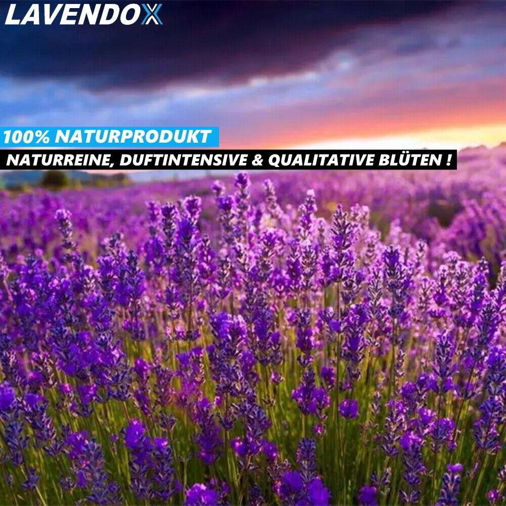 LAVENDOX Lavendelsäckchen Lavendelkissen Mottenschutz Premium Duftsäckchen [20x]
