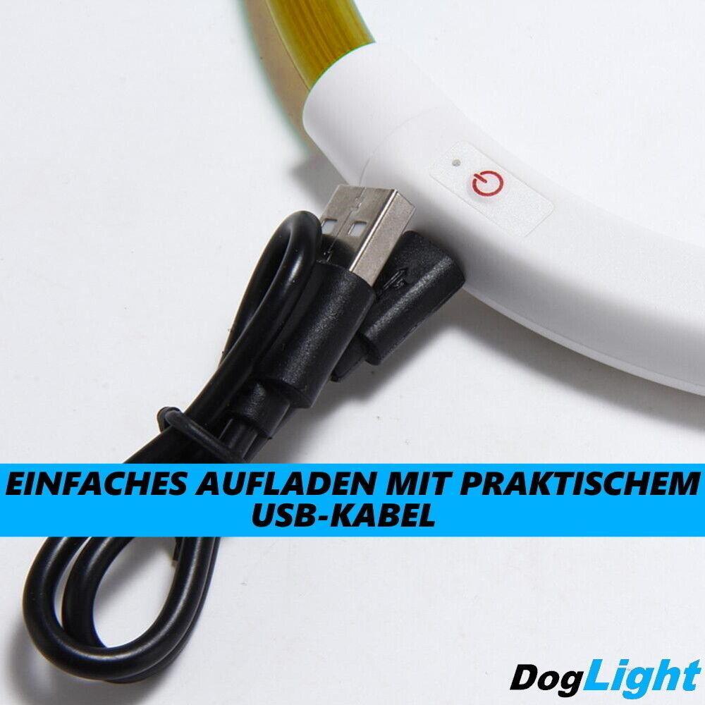 DogLight LED Hundehalsband USB Leuchthalsband Universalgröße zuschneidbar gelb