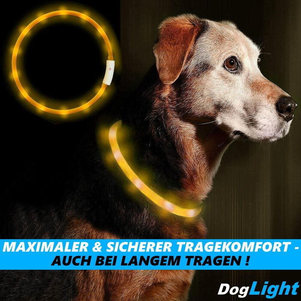 DogLight LED Hundehalsband USB Leuchthalsband Universalgröße zuschneidbar gelb