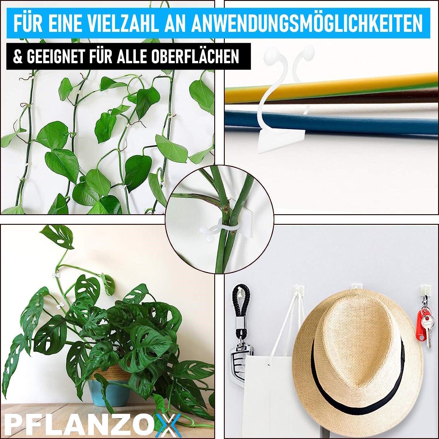 PFLANZOX Pflanzenclips Pflanzenklammern Rankhilfe Pflanzen Tomaten Clips 100 Stk