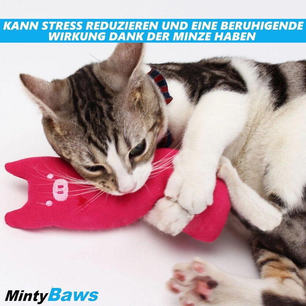 MintyBaws Katzenminze Kissen Katzenspielzeug Katzen Beschäftigung Minze 5er Set
