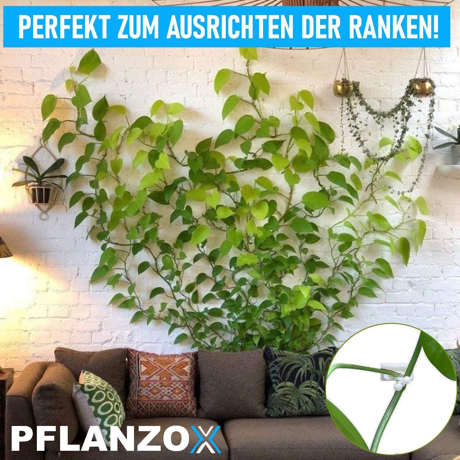 PFLANZOX Pflanzenclips Pflanzenklammern Rankhilfe Pflanzen Tomaten Clips 100 Stk