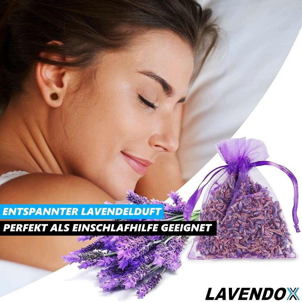 LAVENDOX Lavendelsäckchen Lavendelkissen Mottenschutz Premium Duftsäckchen [20x]