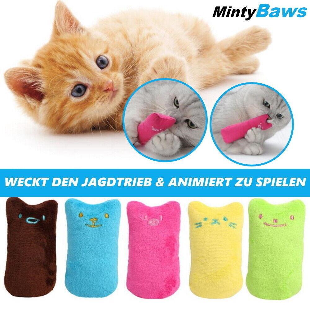 MintyBaws Katzenminze Kissen Katzenspielzeug Katzen Beschäftigung Minze 5er Set