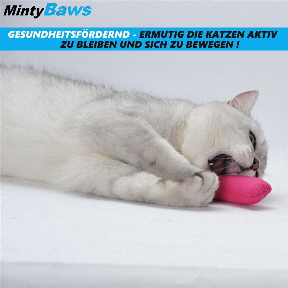 MintyBaws Katzenminze Kissen Katzenspielzeug Katzen Beschäftigung Minze 5er Set