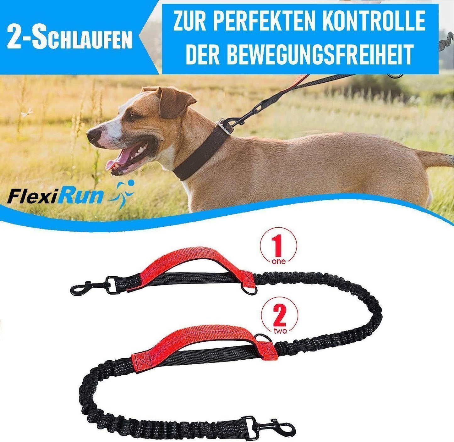 FlexiRun Joggingleine mit Bauchgurt Hundeleine Laufleine Fahrradleine elastisch