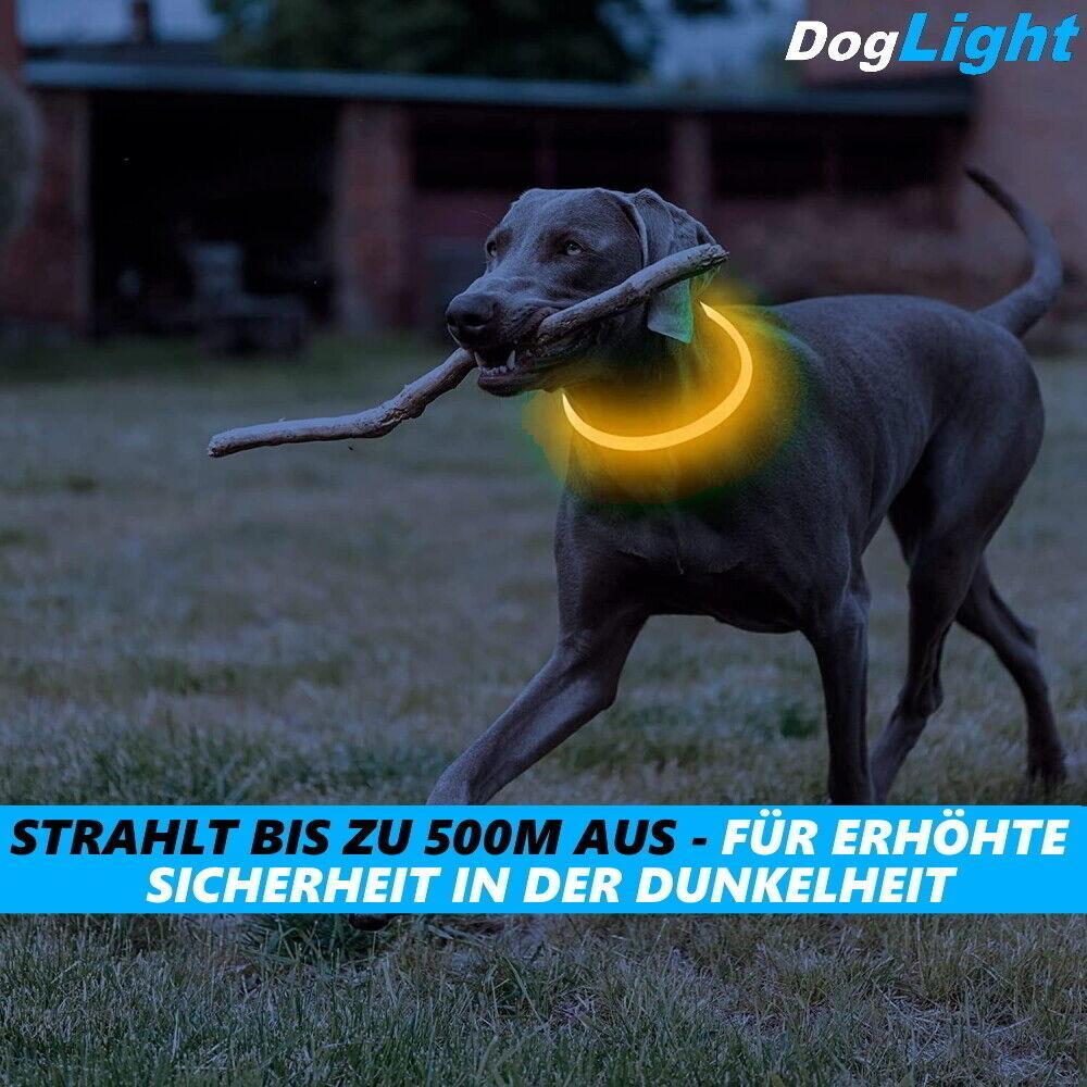DogLight LED Hundehalsband USB Leuchthalsband Universalgröße zuschneidbar gelb