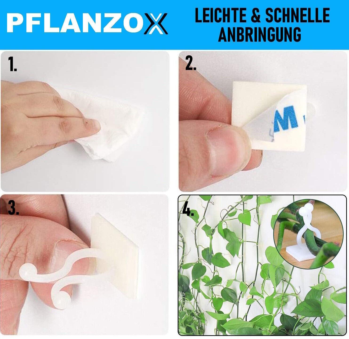 PFLANZOX Pflanzenclips Pflanzenklammern Rankhilfe Pflanzen Tomaten Clips 100 Stk