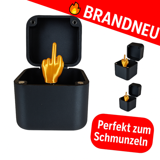 Lustige Geschenkidee Mittelfinger in Box Scherzartikel Deko Gag Büro Gäste Geschenk
