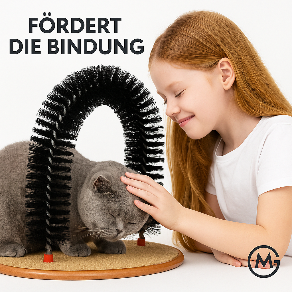 Katzenbogen Selbstpflege Massage Kratzmatte Spielzeug Set DE.