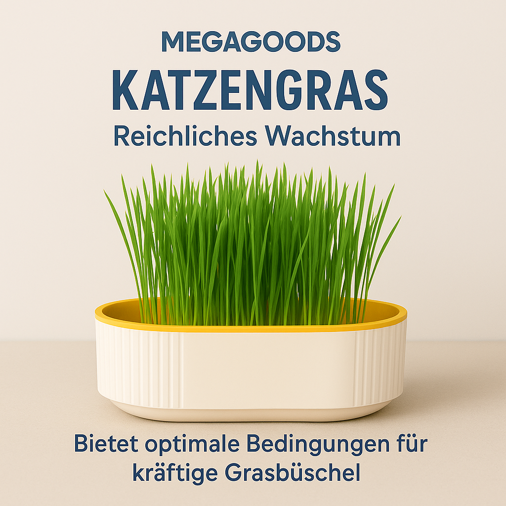 Katzengras Box hydroponisch Anzucht ohne Erde Catnip Grow Set DE.