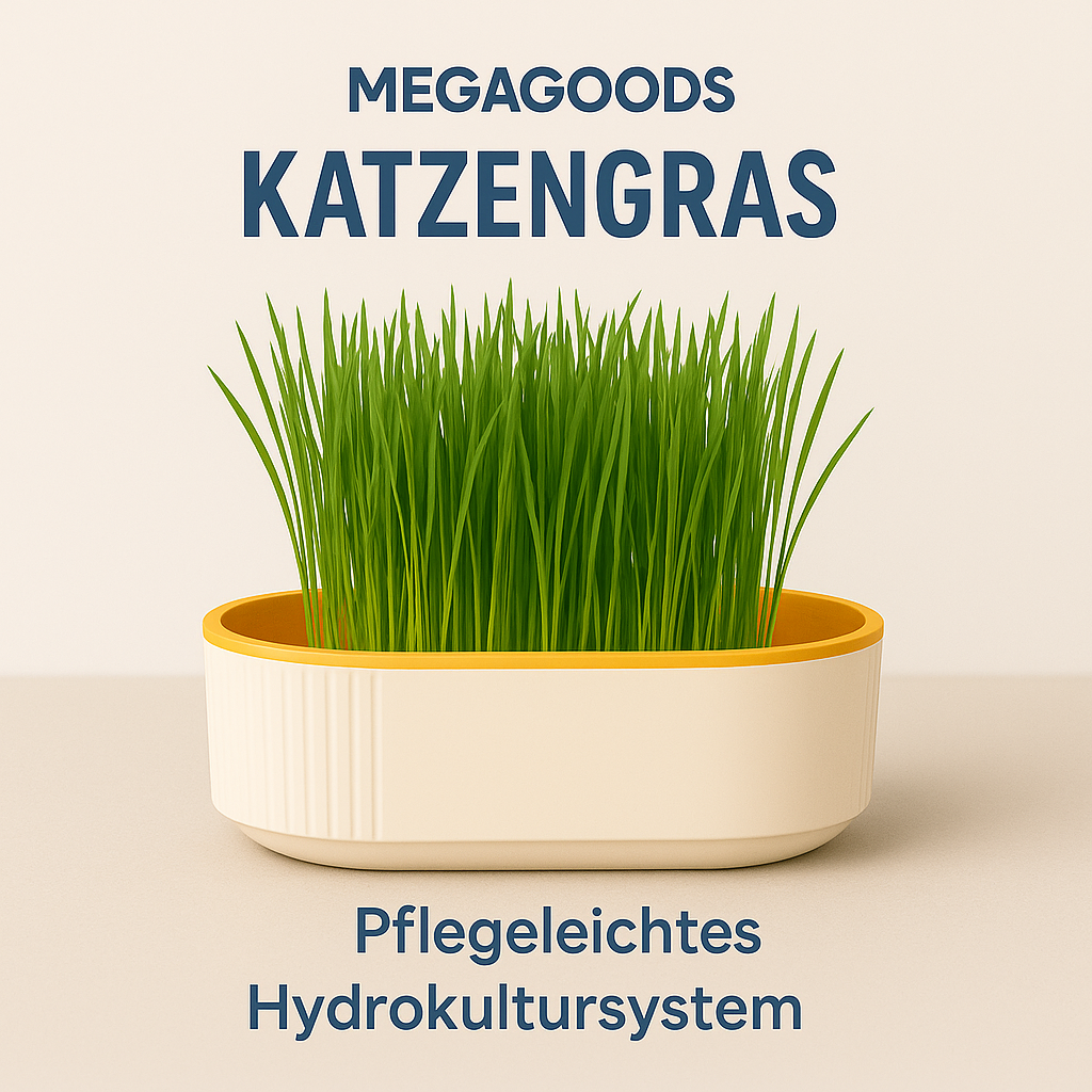 Katzengras Box hydroponisch Anzucht ohne Erde Catnip Grow Set DE.
