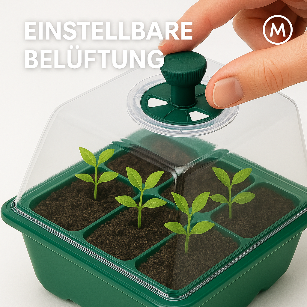 Anzuchtbox mit LED Pflanzenlicht 6 Zellen belüftet keimstark DE.