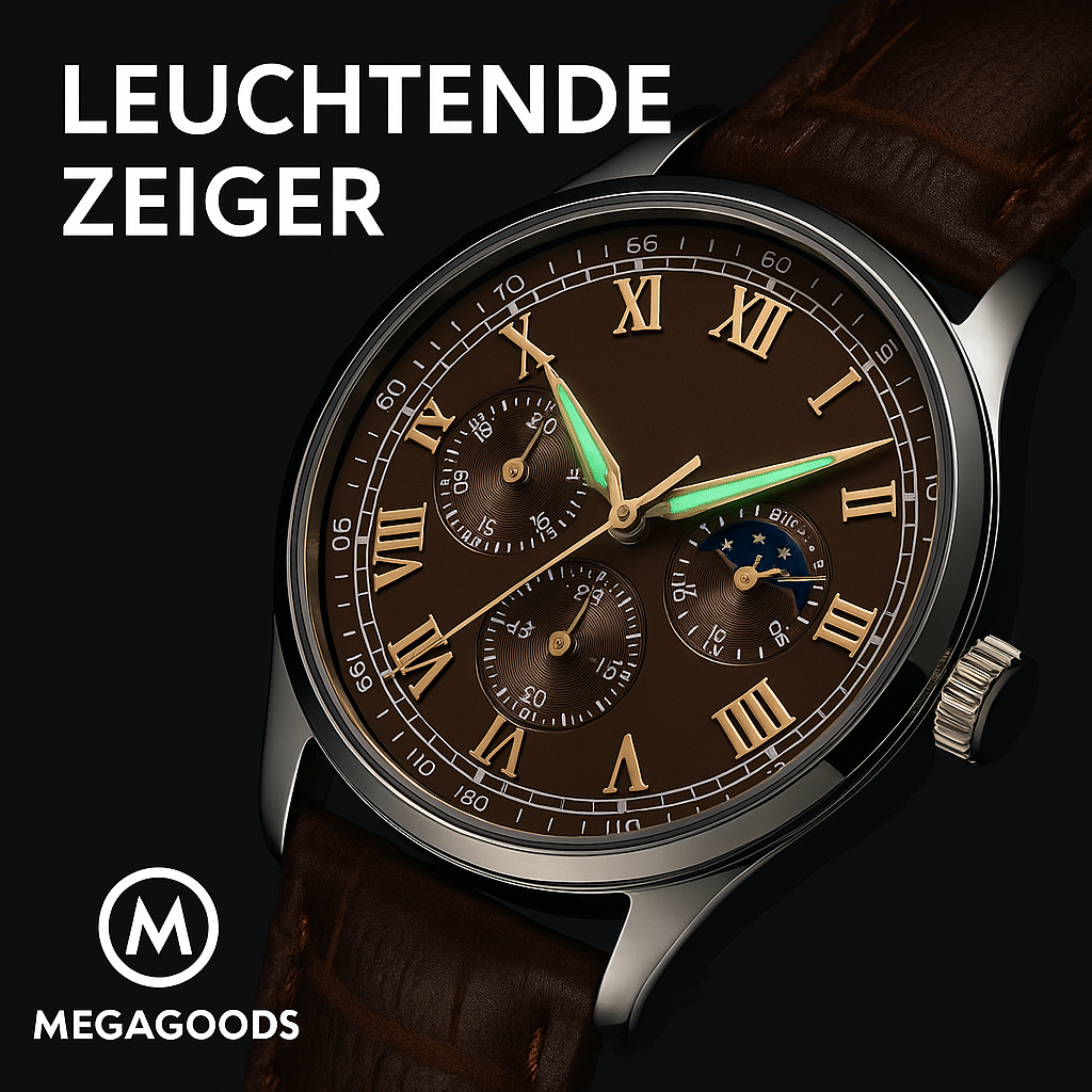 Herren Luxus Uhr Quarz wasserdicht leuchtend Business DE.