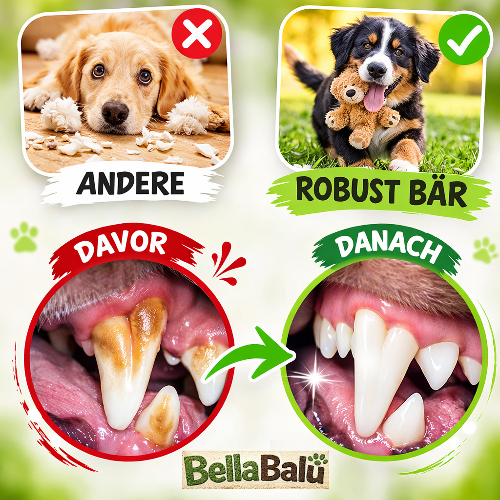 RobustBär™ - Der unzerstörbare Begleiter! Langlebiges Hundespielzeug | Kauspiel