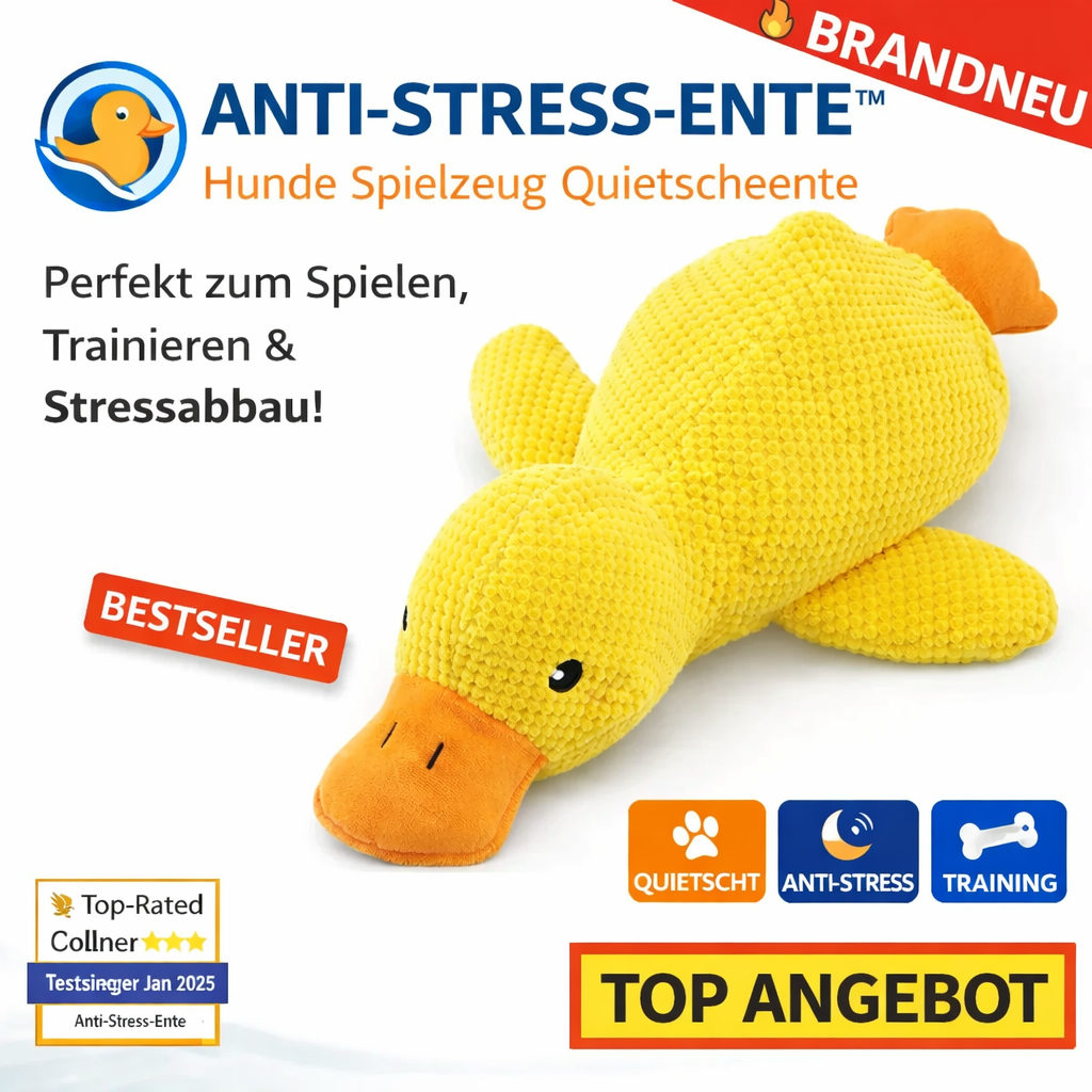 Anti Stress Ente™ Hunde Spielzeug Quietscheente Welpen Training - Der Bestseller