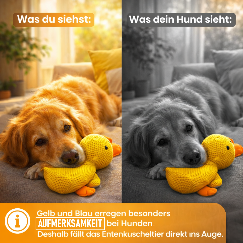 Anti Stress Ente™ Hunde Spielzeug Quietscheente Welpen Training - Der Bestseller