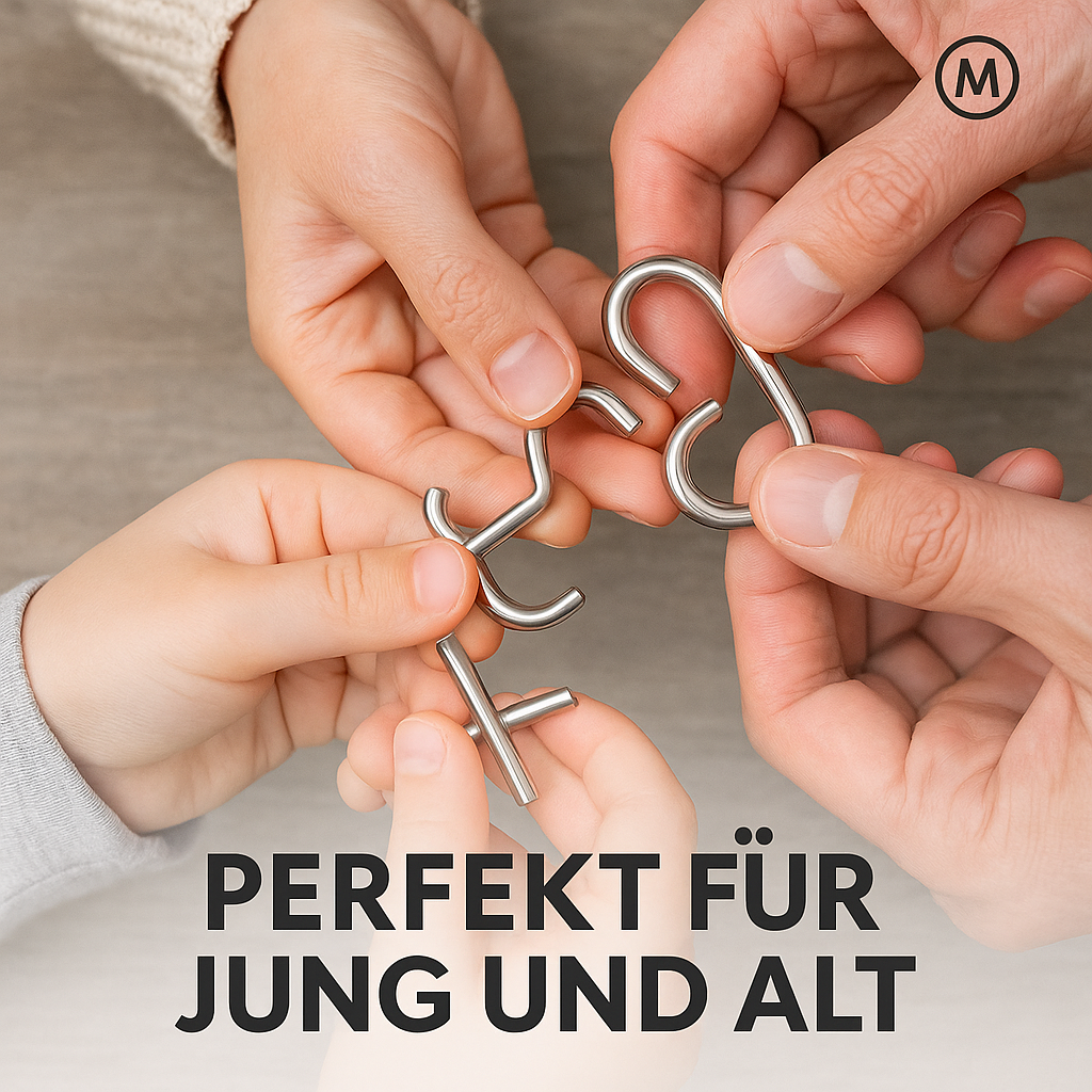 3D-Metallpuzzle Knobelspiel Geduldsspiel Gehirntraining DE.