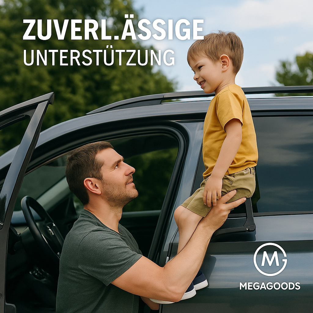 Auto Tür Trittstufe Aluminium universal Dachzugangshilfe DE.