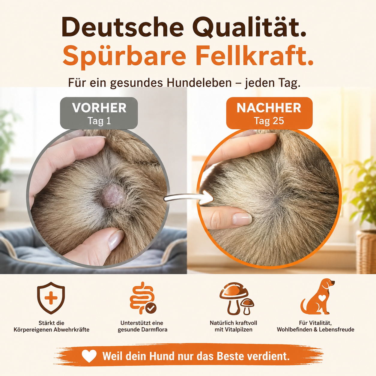 Fellkraft™ Turkey Tail Hunde Probiotika Vitalpilz Immun Darm Bacon Pulver 100g