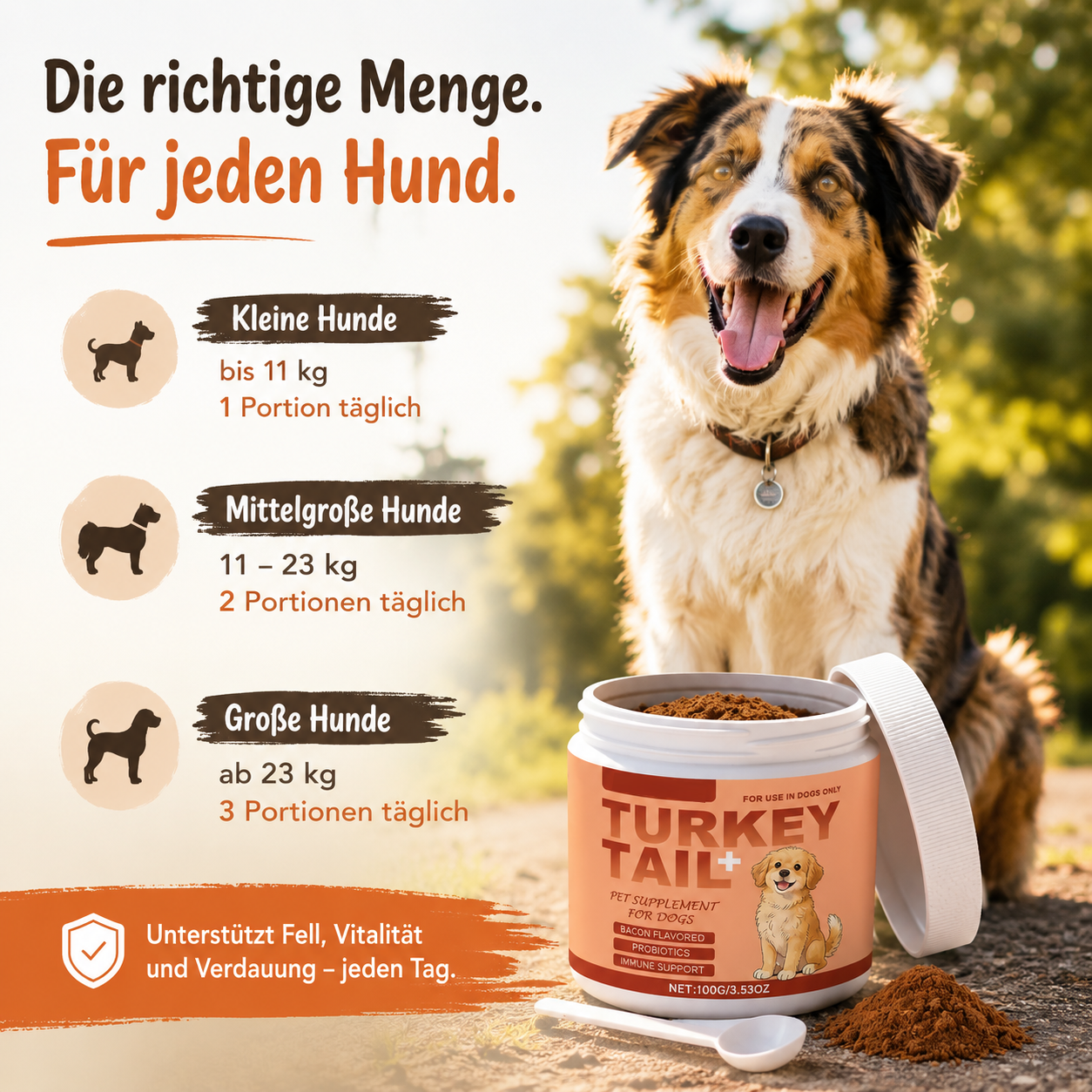 Fellkraft™ Turkey Tail Hunde Probiotika Vitalpilz Immun Darm Bacon Pulver 100g
