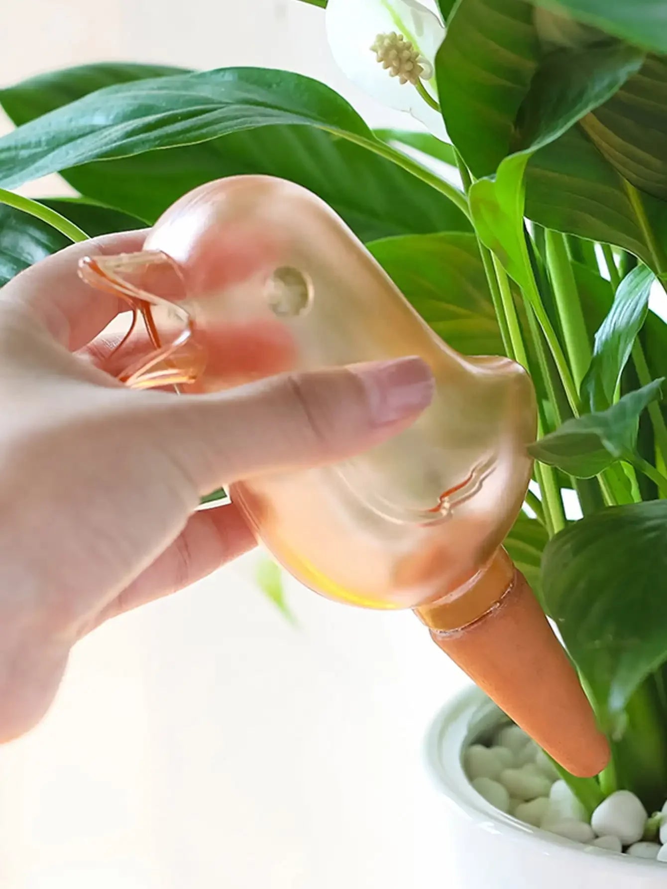Pflanzenbewässerung automatisch Vogel Design Selbstbewässerung Garten Balkon