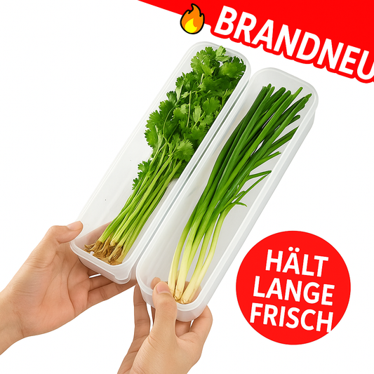 Frischhaltebox klein transparent luftdicht Aufbewahrungsbox Kühlschrank Küche
