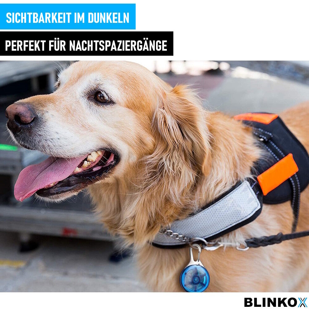 BLINKOX LED-Hundeanhänger Abnehmbare LED-Hundehalsbandleuchte Tragbar Blau