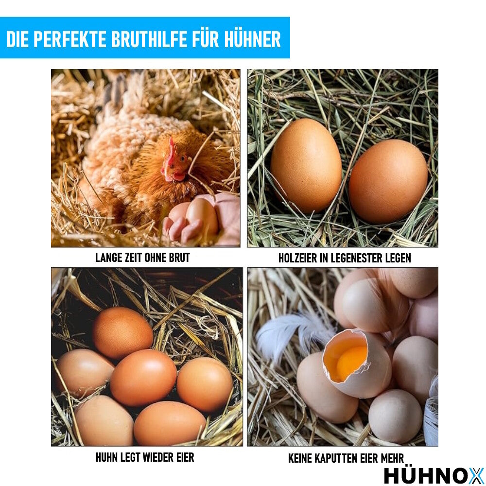 HÜHNOX Hölzerne Hühnereier Handwerk Rohlinge für Ostern Dekor 5 Stk Bruthilfe